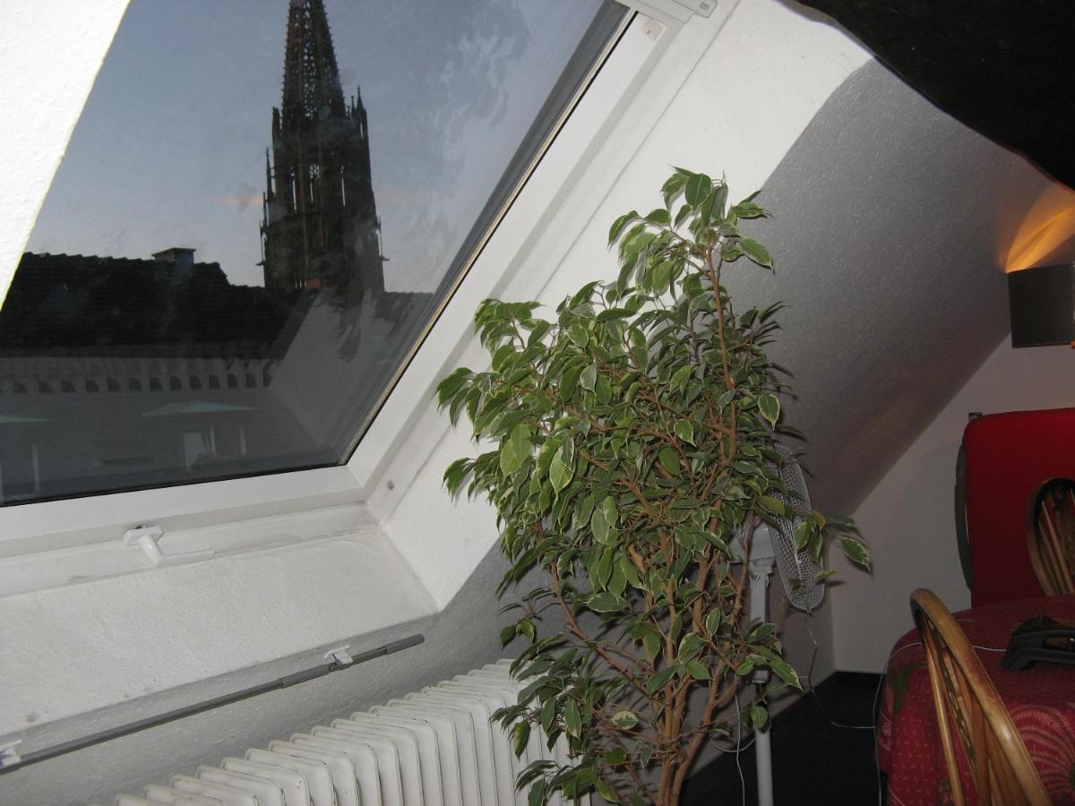 Gasthaus Loewen Freiburg im Breisgau Dış mekan fotoğraf